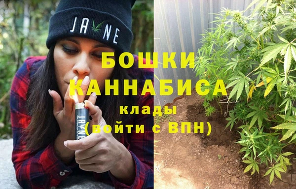 мяу мяу мука Бородино