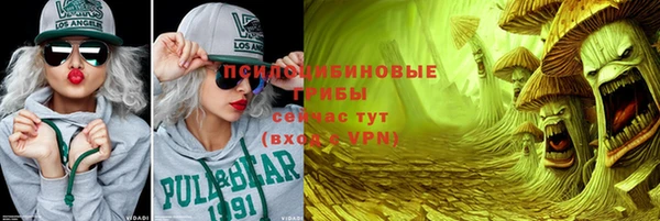 соль ск Бронницы
