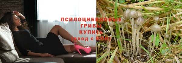мяу мяу мука Бородино